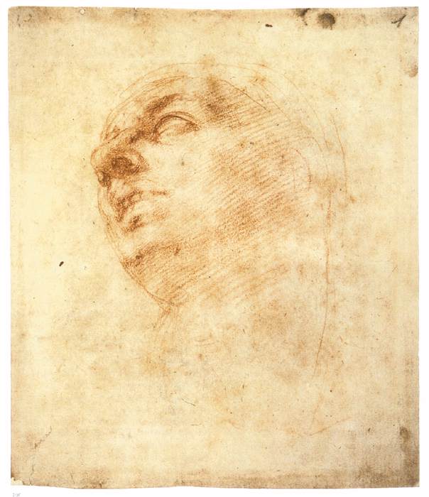 Michelangelo-Buonarroti (14).jpg